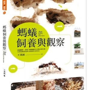 螞蟻飼養與觀察