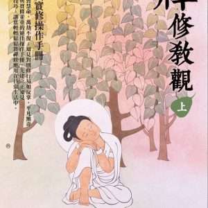 禪修教觀（上）：教理與實修操作手冊
