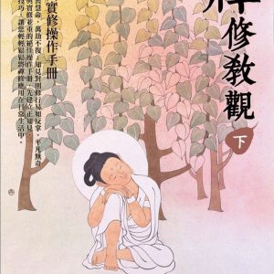 禪修教觀（下）：教理與實修操作手冊