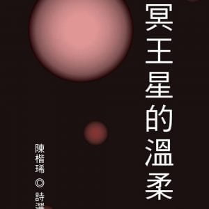 Books 中文書 > Fiction 文學小説