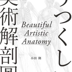 美術解剖圖