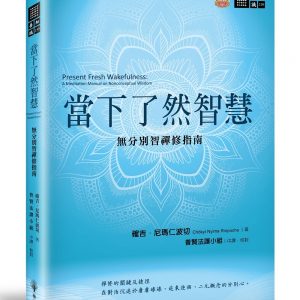 當下了然智慧：無分別智禪修指南