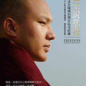 法王說慈悲：大寶法王噶瑪巴西方弘法紀實