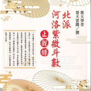 北派河洛紫微斗數止觀錄