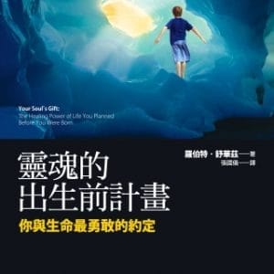 靈魂的出生前計畫：你與生命最勇敢的約定