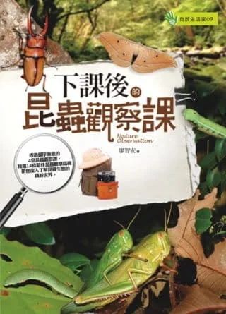 下課後的昆蟲觀察課