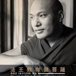 法王教你做菩薩：噶瑪巴《佛子行37頌》釋論(第三版)