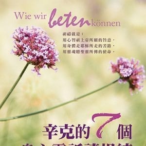 辛克的7個身心靈祈禱操練(精裝)