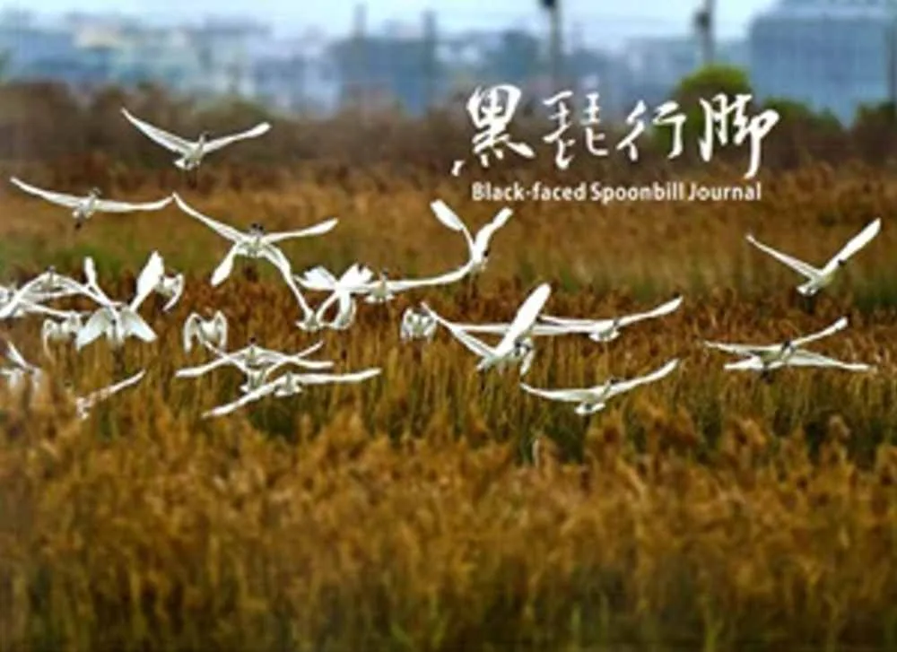 Books 中文書 > Science 自然科普