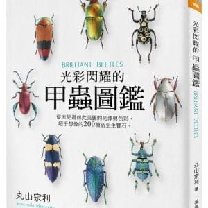 光彩閃耀的甲蟲圖鑑