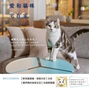 就是愛和貓咪宅在家：讓喵星人安心在家玩！貓房規劃、動線配置、材質挑選，500個人貓共樂的生活空間設計提案