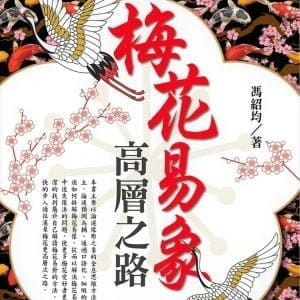 梅花易象高層之路