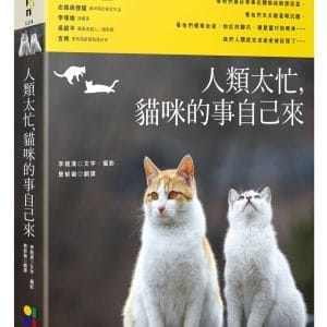 人類太忙，貓咪的事自己來