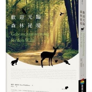 歡迎光臨森林祕境