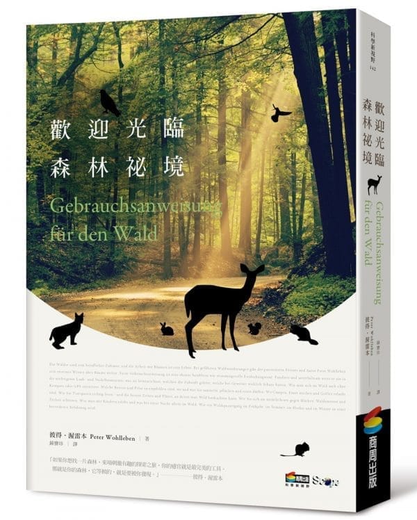 歡迎光臨森林祕境