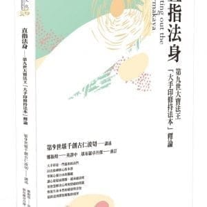 直指法身：第九世大寶法王「大手印修持法本」釋論（三版）