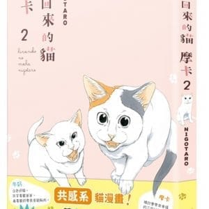 撿回來的貓 摩卡2
