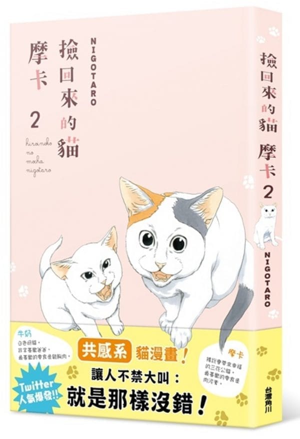撿回來的貓 摩卡2