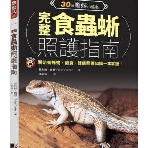 完整食蟲蜥照護指南