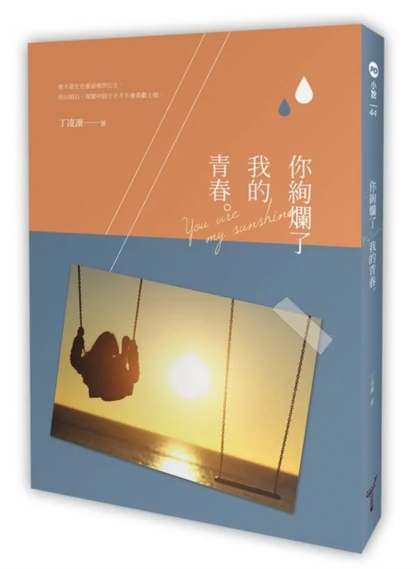 你絢爛了我的青春
