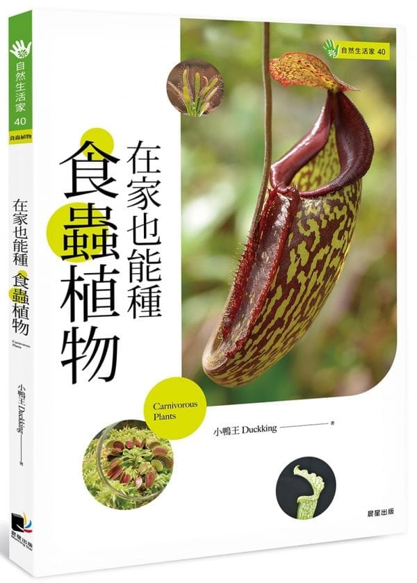 在家也能種食蟲植物