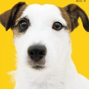 狗狗的家庭醫學百科