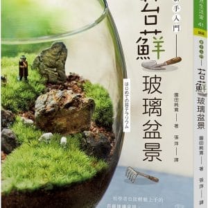 苔蘚玻璃盆景：新手入門
