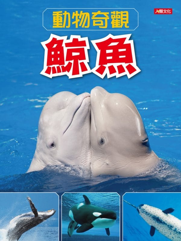 Books 中文書 > Kids Books 青少童書
