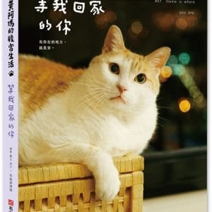 黃阿瑪的後宮生活：等我回家的你