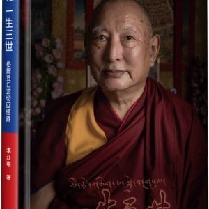 一生三世(精裝)：格爾登仁波切回憶錄