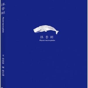 抹香鯨 Physeter macrocephalus：(隨書附贈與封面同款燙銀箔書籤)