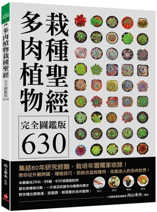多肉植物栽種聖經完全圖鑑版630：集結60年研究經驗，栽培年曆獨家收錄！教你從外觀辨識、種植技巧、到組合盆栽應用，走進迷人的多肉世界！