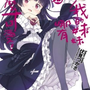 Books 中文書 > Light Novel 輕小説