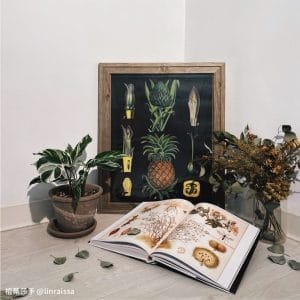 Books 中文書 > Life Style 生活風格