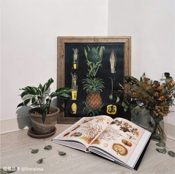 Books 中文書 > Life Style 生活風格