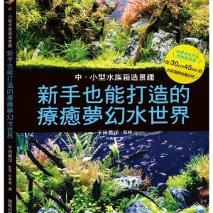 中小型水族箱造景趣：新手也能打造的療癒夢幻水世界