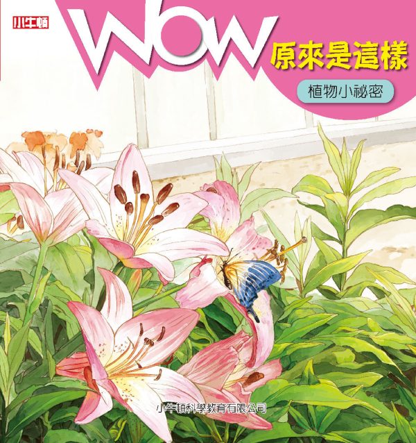 Books 中文書 > Kids Books 青少童書