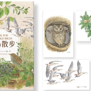 Books 中文書 > Arts & Design 藝術設計