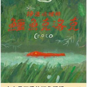 Chinese Book 中文書 >青少童書 > 圖畫書