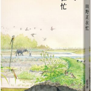Chinese Book 中文書 >文學小說 > 華文創作