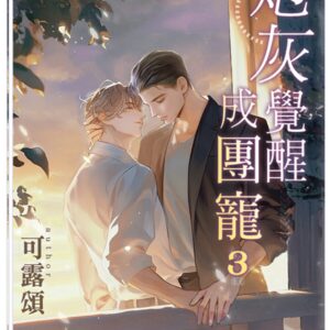Chinese Book 中文書 >books > fiction > 羅曼史/言情小說
