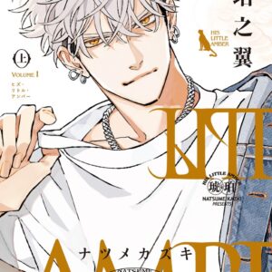 Chinese Book 中文書 >books > comics > BL